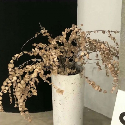 兽设海洋场景设计兽圈社群